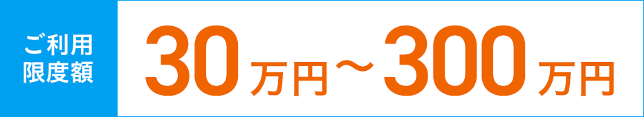 ご利用限度額